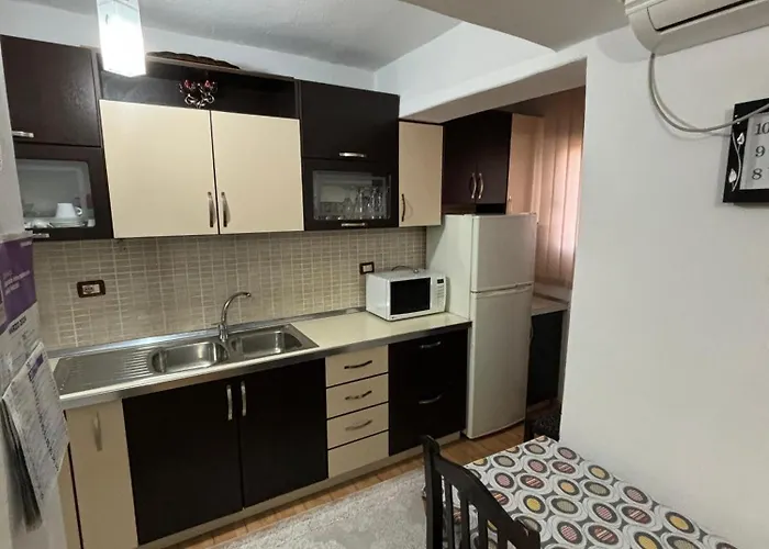 Aron'apartament In Center